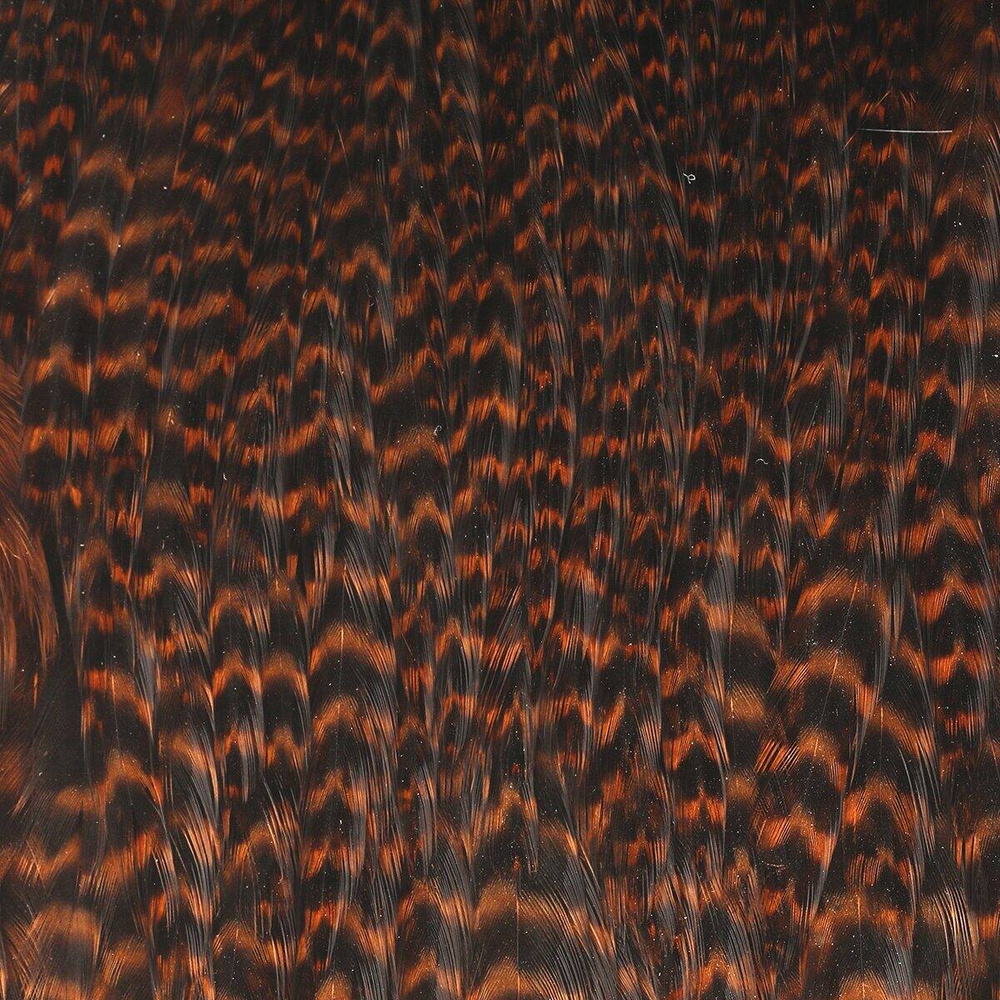Grizzly Dyed Brown