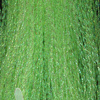 Chartreuse