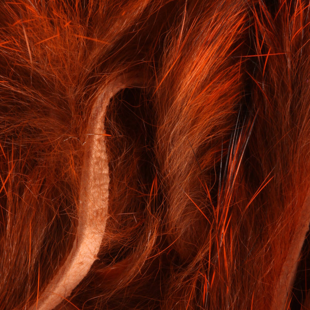 Crawfish Orange