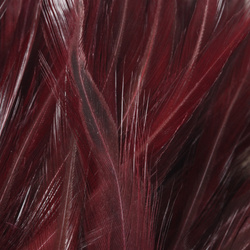 FFGene Strung Saddle Hackle