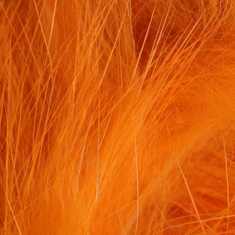 Crawdad Orange