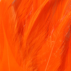 FFGene Strung Saddle Hackle