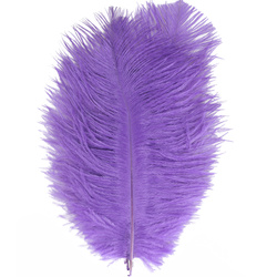 FFGene Ostrich Hackle Feathers