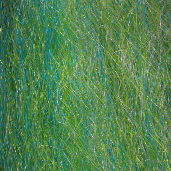 H2O Slinky Blend
