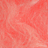 Fl Coral
