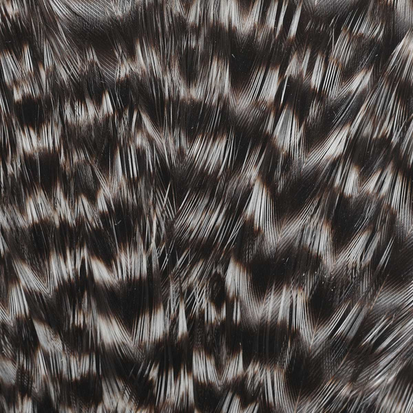 Wapsi Grizzly Hen Saddles
