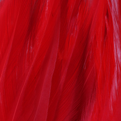 FFGene Strung Saddle Hackle