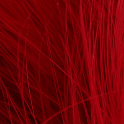 FFGene Blood Quill Marabou (10-12 cm)