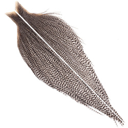 Whiting Bronze 1/2 Cape