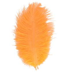 FFGene Ostrich Hackle Feathers