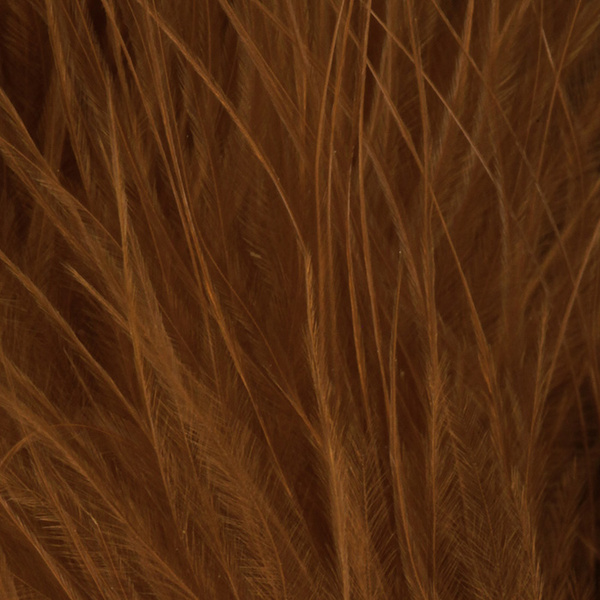 FFGene Blood Quill Marabou (10-12 cm)