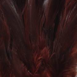 FFGene Strung Saddle Hackle