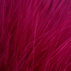 FFGene Wooly Bugger Marabou (Blood Quill) (7-10 cm)