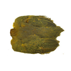 Wapsi Guinea Fowl Skin