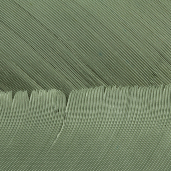 Hareline Turkey Biot Quills