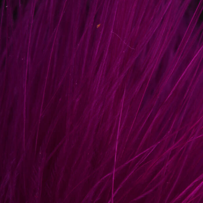 Fl. Violet
