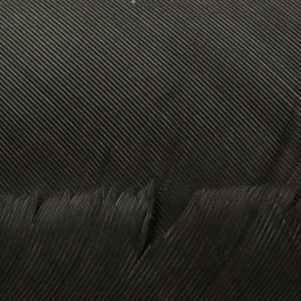 Hareline Turkey Biot Quills