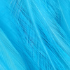 Standard Blue