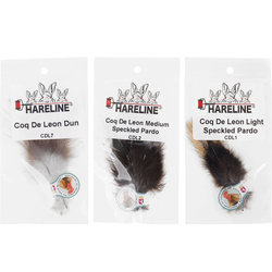 Coq de Leon Feather