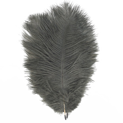 FFGene Ostrich Hackle Feathers