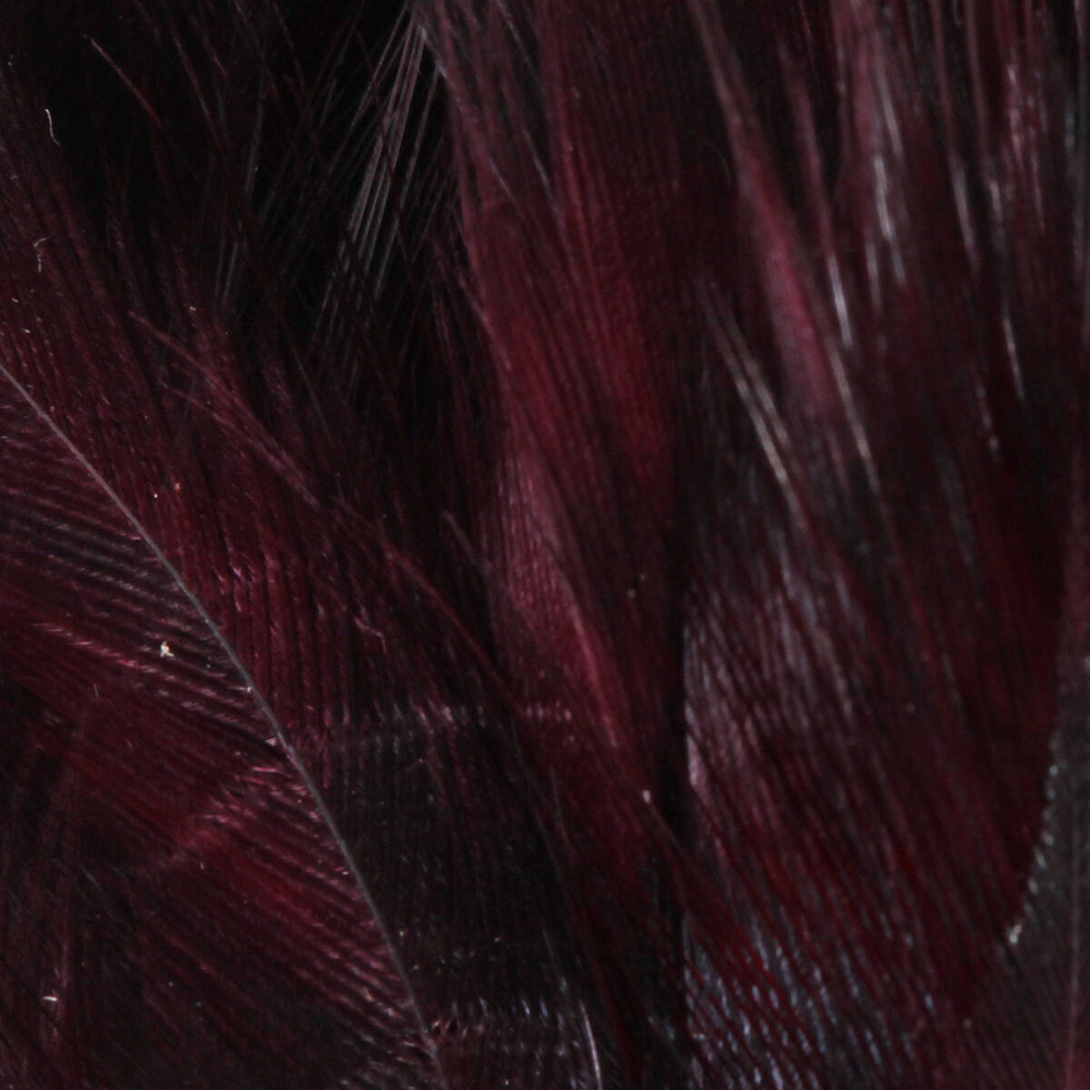 Dark Claret