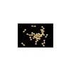 Gold (12) - 6.4 mm