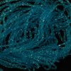 Fl. Blue