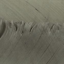 Hareline Turkey Biot Quills