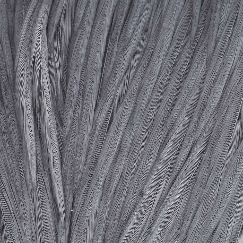 X-Small - Medium Dun