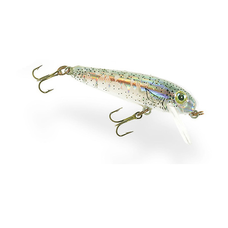 4.1 cm Rebel Minnow F49 Holo