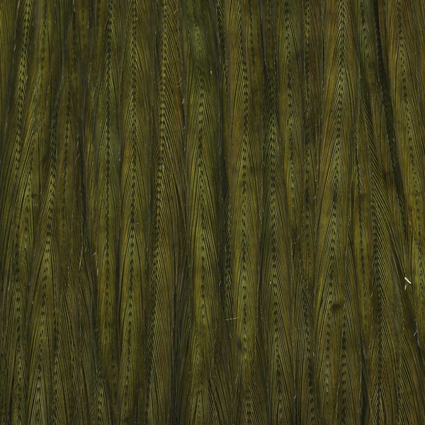 Ewing Top Capes Dyed