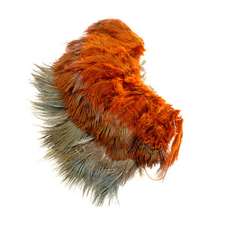 Wapsi Ringneck Pheasant Hackle