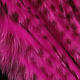 Fl. Pink