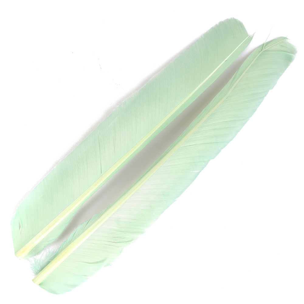 Rhyacophila Green