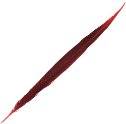FFGene Golden Pheasant Tail
