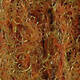 Crawdad Orange