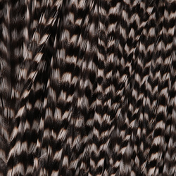 FFGene Howard Hackle Saddles #3