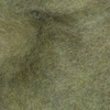 Gray Olive