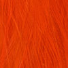 Hot Orange