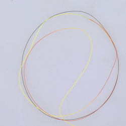 Negnon Two Tones Euro Nymph Tippet