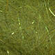 Green Olive