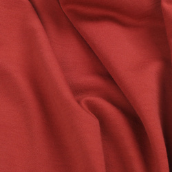 Taimen Charaa Hoodie - Brick Red