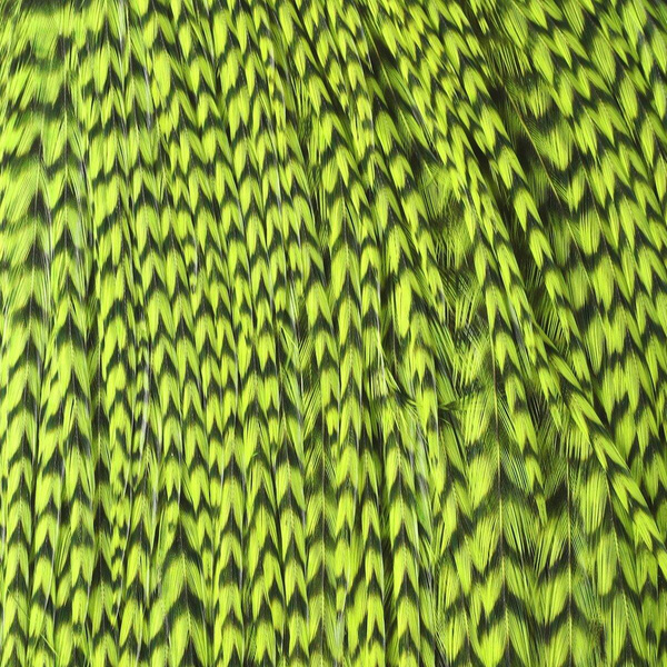 Hareline Half Cape