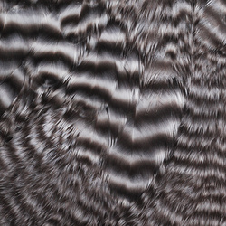 Keough Hackle Marabou Skin